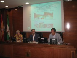 Presentación del Plan Andaluz de Bicicletas en Jaén