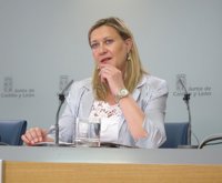 Del Olmo asegura que CyL está en la senda del cumplimiento con un déficit que no llega "ni a la mitad de lo previsto"