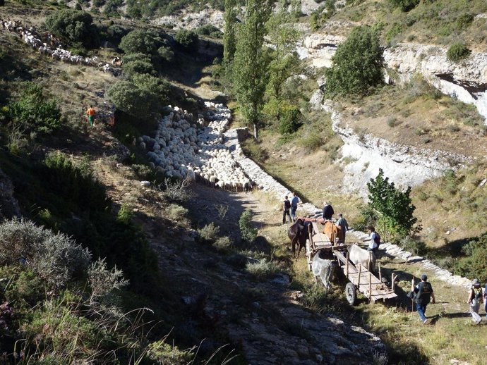 Ruta Carlos V entre Burgos y puertos de Castilla 