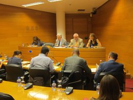 Comisión de Coordinación, Organización y Régimen de las Instituciones de la Gene