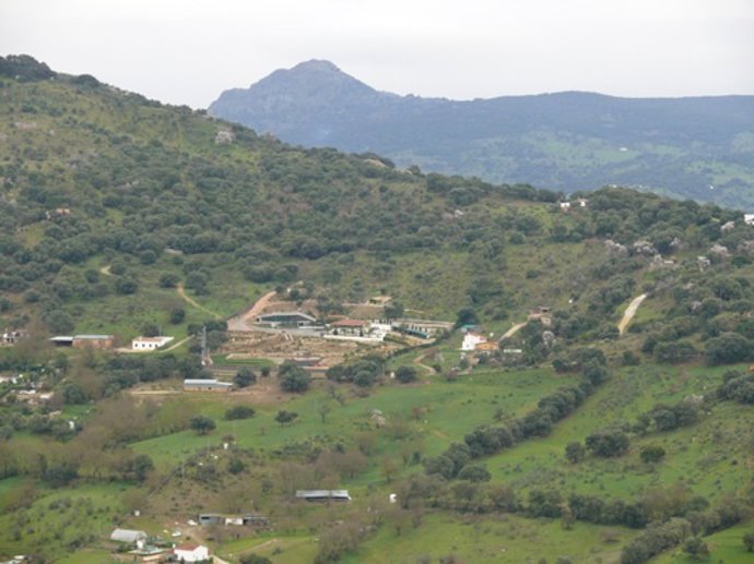 Finca "ilegal" denunciada por Ecologistas en Acción