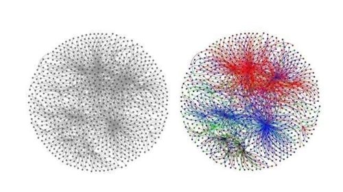 Rui Fan estudio redes sociales