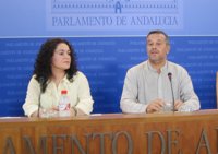 IULV-CA critica que PP-A dé por "solucionada" la problemática de los desahucios cuando sigue habiendo "suicidios"
