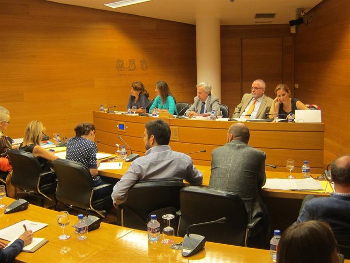 Comparecencia de la secretaria autonómica de Organización en las Corts