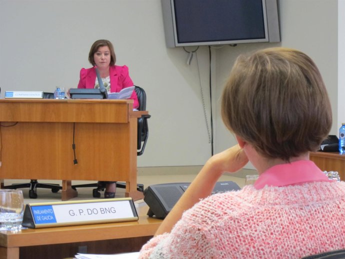 Susana López Abella y Carme Adán (de espaldas) en la Comisión de Educación