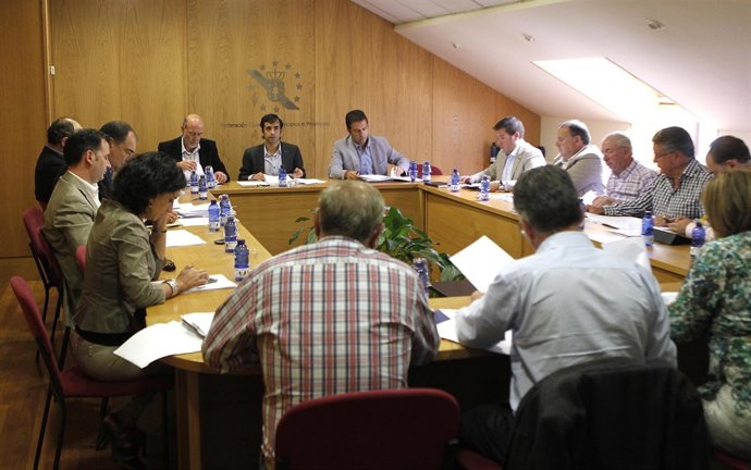 Comisión Executiva de la Fegamp