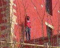 Baleares es la segunda región con mayor tasa de infracciones penales de menores, con 26,3 por cada 1.000 habitantes