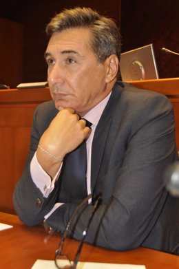 Ricardo Oliván, en la comisión parlamentaria