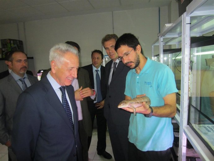 El consejero Modesto Lobón en su visita al Acuario de Zaragoza