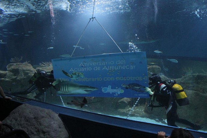 Imagen del acuario de Almuñécar