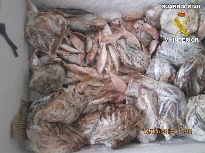 Pescado en mal estaco intervenido por la Guardia Civil en Caspe.