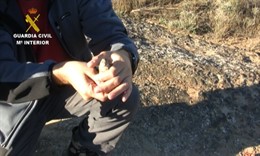 Desde abril del pasado año han sido detenidas seis personas