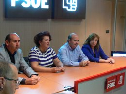 Zarrías se reúne en Granada para analizar la reforma local