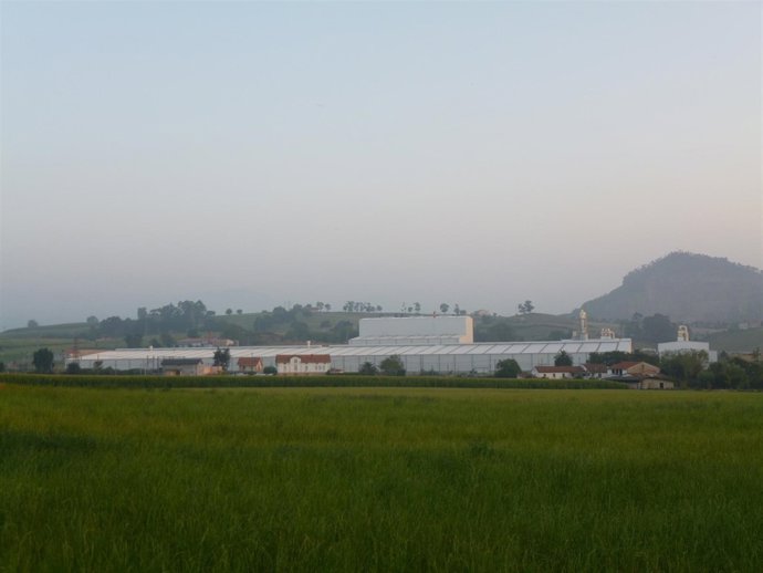 Planta Fermacell en Orejo (antigua GFB)