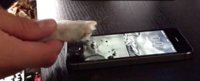 Sensor de huellas del nuevo iPhone funciona también con perros y gatos