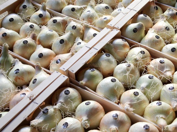 Estas cebollas ya se pueden encontrar en las tiendas