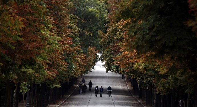Otoño, tiempo otoñal