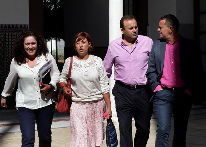 Cuatro de los doce miembros del grupo parlamentario de IULV-CA