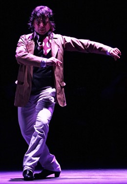 Javier Barón inaugura la I Muestra de Flamenco en el Teatro Central