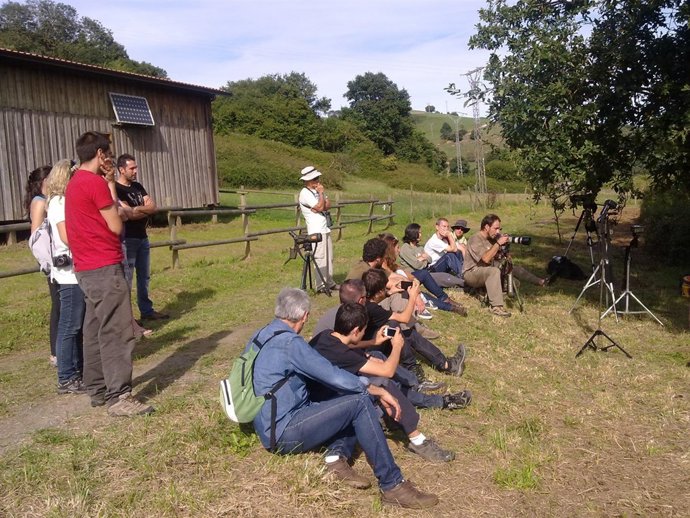 Actividades del VII Festival de la Migración de las Aves