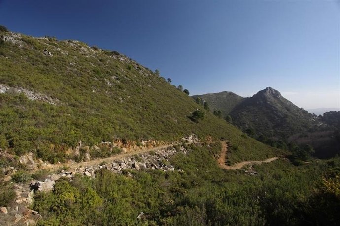 Sendero en una sierra de Málaga