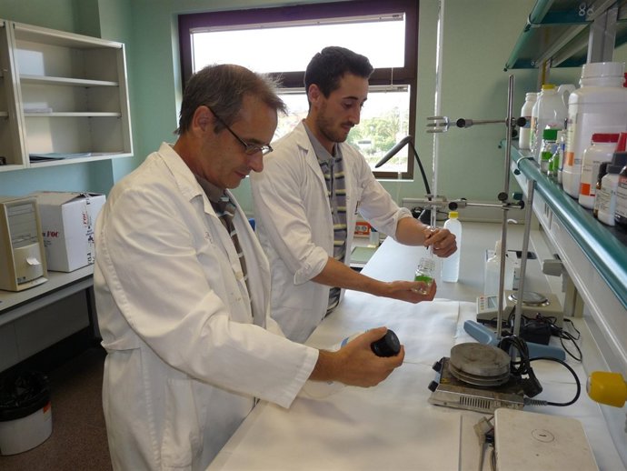 Frutas para deportistas