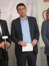PSOE-A cree que es PP-A el que "marea la perdiz" con las declaraciones y pide que aclaren si las "van a presentar o no"