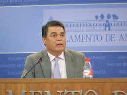 El portavoz del PP-A en el Parlamento, Carlos Rojas, hoy en rueda de prensa