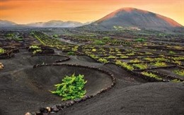 Un blogtrip recorrerá Tenerife y Lanzarote