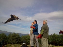 Pollo liberado por González