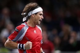 David Ferrer