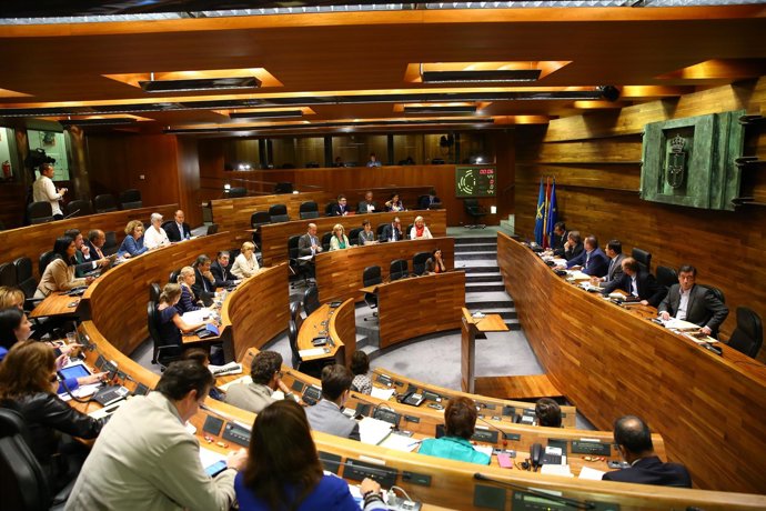 Pleno de la Junta General