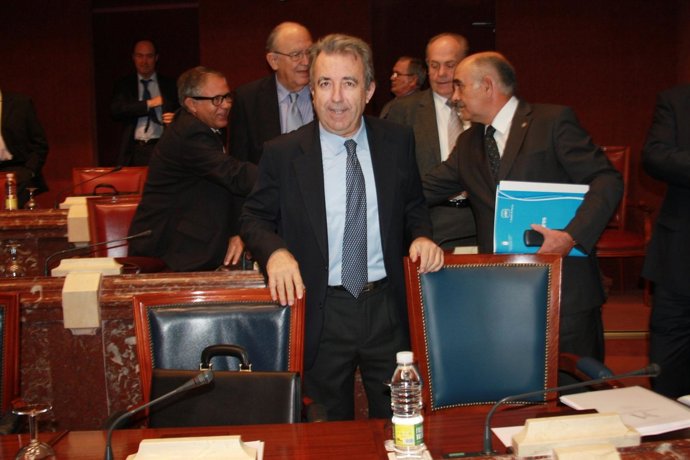 Cerdá En La Asamblea