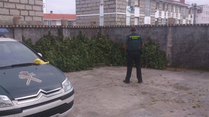 Marihuana incautada en Vilanova