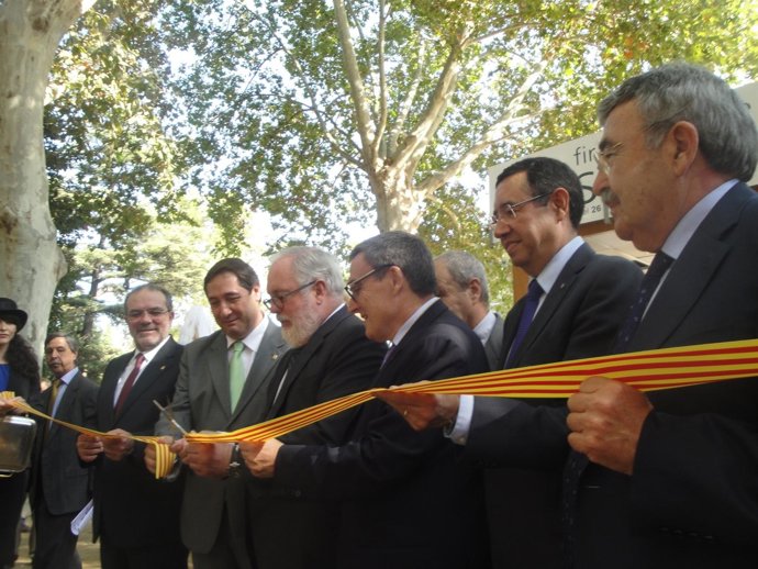 Reñé,Pelegrí,Cañete,Ros,Simó