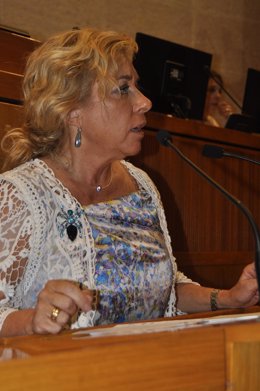 Dolores Serrat, en el pleno de las Cortes