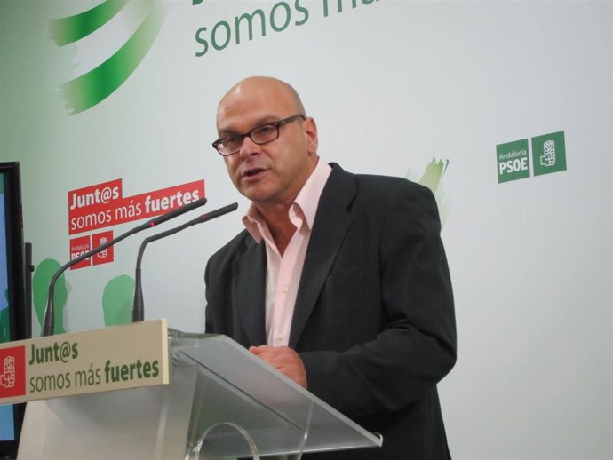 El secretario general del PSOE de la ciudad de Jaén, Manuel Fernández Palomino.