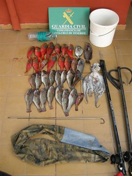 Pescado incautado por la Guardia Civil