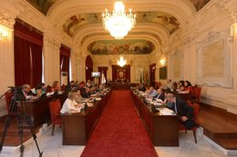 Pleno del ayto de Málaga