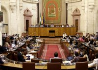 Parlamento pide al Gobierno que retire el proyecto de Ley de Reforma Local y busque el consenso y respeto al Estatuto