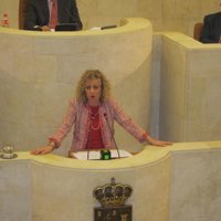 PSOE presentará una enmienda a la totalidad del proyecto de Ley de Aprovechamiento Eólico