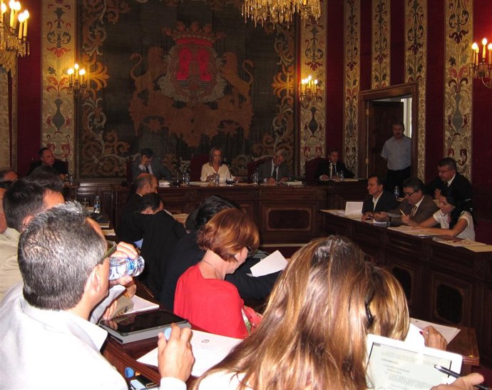 Pleno del Ayuntamiento de Alicante