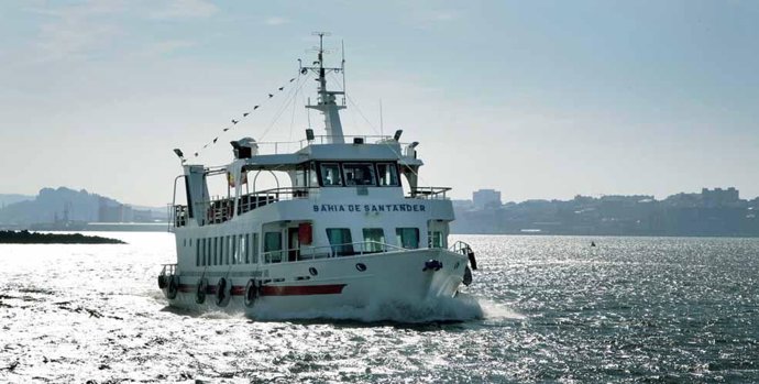 Ruta en barco para observar aves marinas