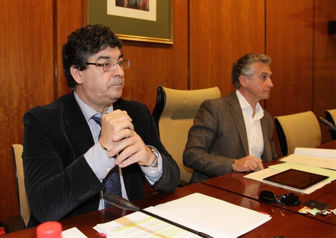 Diego Valderas, en comisión parlamentaria