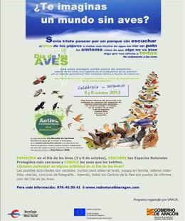 El Gobierno aragonés da a conocer la importancia de la conservación de las aves.