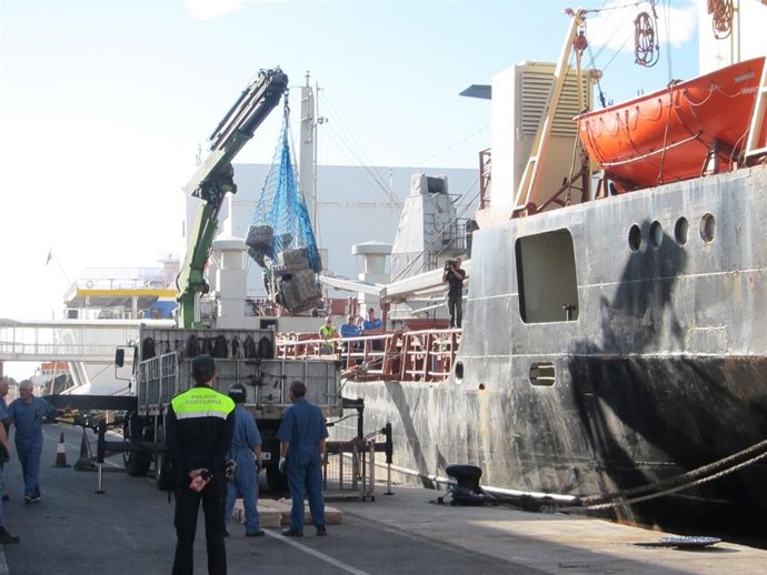 Una grua descarga los fatos de la cubierta del 'Moon Ligth'