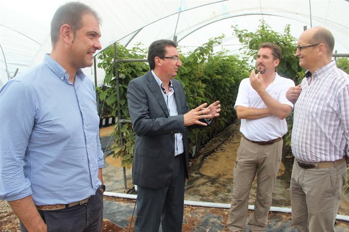 El presidente provincial del PP de Huelva, Manuel Andrés González, en Moguer. 
