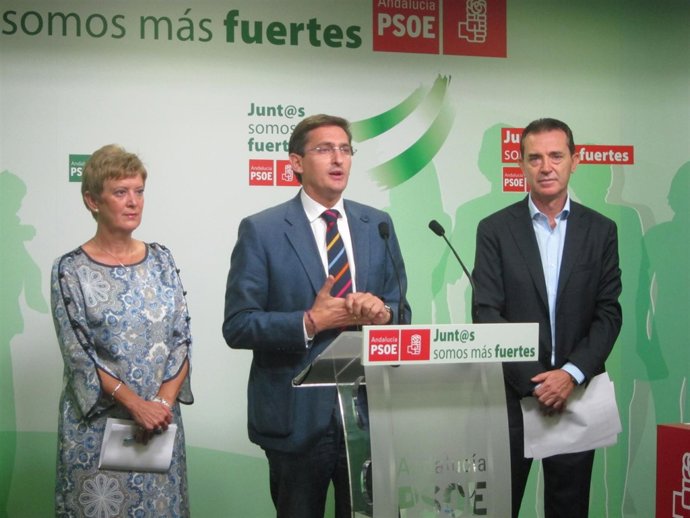 Rumí, Sánchez Teruel y Pérez Navas (PSOE)