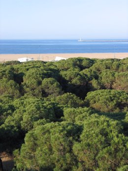 Playa de Mazagón. 