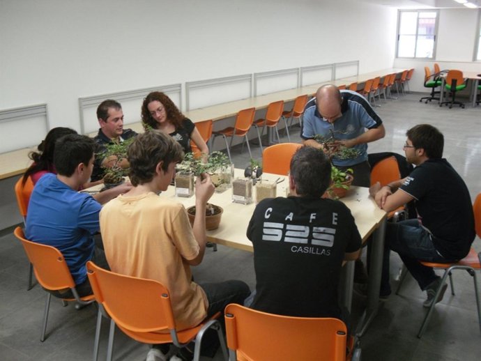 Nuevas actividades gratuitas para jóvenes de 12 a 30 años en el programa Redes 